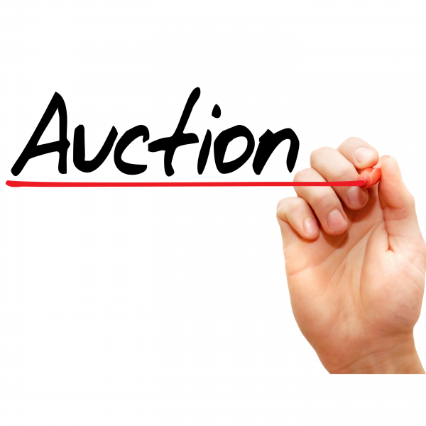 Tips to make auction day a success
